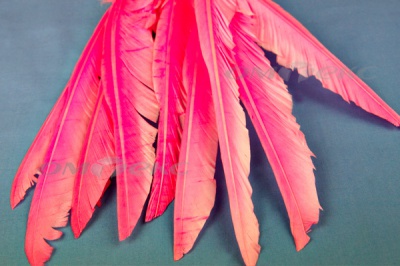 Декоративный Пучок из перьев, перо 25см/розовый - купить в Перми. Цена: 14.40 руб.