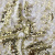 Трикотажное полотно, Сетка с пайетками, шир.130 см, #315, цв.-белый/золото - купить в Перми. Цена 693.39 руб.