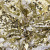 Трикотажное полотно, Сетка с пайетками, шир.130 см, #315, цв.-белый/золото - купить в Перми. Цена 693.39 руб.