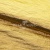 Текстильный материал "Диско"#1805 с покрытием РЕТ, 40гр/м2, 100% полиэстер, цв.5-золото - купить в Перми. Цена 416.57 руб.