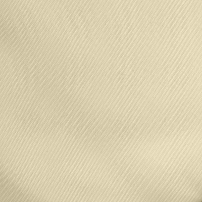 Ткань подкладочная Таффета 14-1014, антист., 53 гр/м2, шир.150см, цвет бежевый - купить в Перми. Цена 62.37 руб.