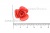 Украшение "Розы малые №1" 20мм - купить в Перми. Цена: 32.49 руб.