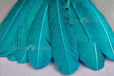 Декоративный Пучок из перьев, перо 24см/голубой - купить в Перми. Цена: 12.19 руб.