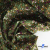 Ткань костюмная «Микровельвет велюровый принт», 220 г/м2, 97% полиэстр, 3% спандекс, ш. 150См Цв  #9 - купить в Перми. Цена 444.24 руб.