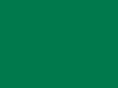85 см № 258 яр. зеленый спираль (G) сорт-2 - купить в Перми. Цена: 16.97 руб.