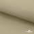 Ткань подкладочная TWILL 230T 14-1108, беж светлый 100% полиэстер,66 г/м2, шир.150 cм - купить в Перми. Цена 90.59 руб.