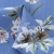 Плательная ткань "Фламенко" 12.1, 80 гр/м2, шир.150 см, принт растительный - купить в Перми. Цена 241.49 руб.