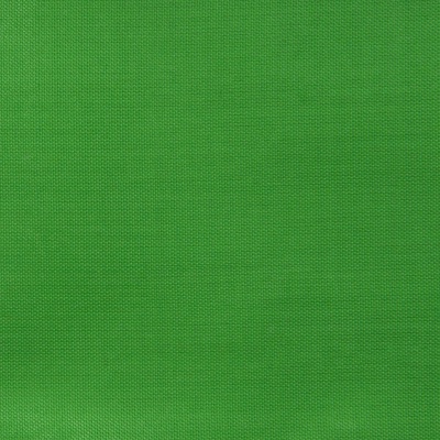 Ткань подкладочная Таффета 17-6153, 48 гр/м2, шир.150см, цвет трава - купить в Перми. Цена 54.64 руб.