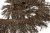 008-коричневый, Бахрома арт.001 шир.10см (упак.12+/-0,5м) - купить в Перми. Цена: 1 017.33 руб.