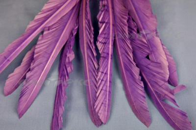 Декоративный Пучок из перьев, перо 25см/фиолетовый - купить в Перми. Цена: 12.19 руб.