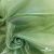 Ткань органза, 100% полиэстр, 28г/м2, шир. 150 см, цв. #27 зеленый - купить в Перми. Цена 86.24 руб.
