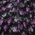 Плательная ткань "Фламенко" 20.1, 80 гр/м2, шир.150 см, принт растительный - купить в Перми. Цена 241.49 руб.