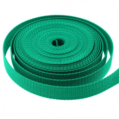 Стропа текстильная, шир. 25 мм (в нам. 50+/-1 ярд), цвет яр.зелёный - купить в Перми. Цена: 397.52 руб.