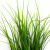 Трава искусственная -3, шт (осока 50 см/8 см  5 листов)				 - купить в Перми. Цена: 124.17 руб.
