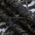 Кружевное полотно XD LACE 1-4, 80 гр/м2, шир.150см, цвет чёрный - купить в Перми. Цена 248.45 руб.